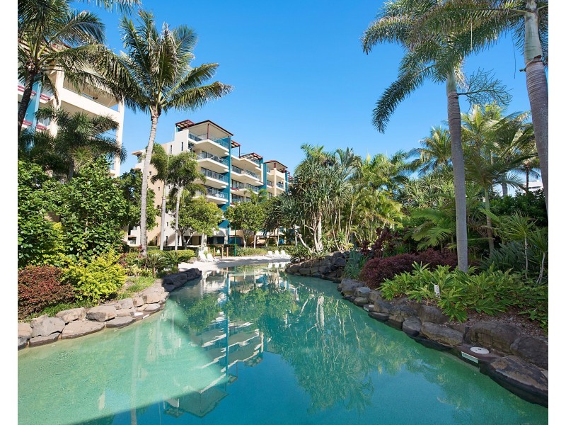 429/10 Okinja Road, Alexandra Headland QLD 4572