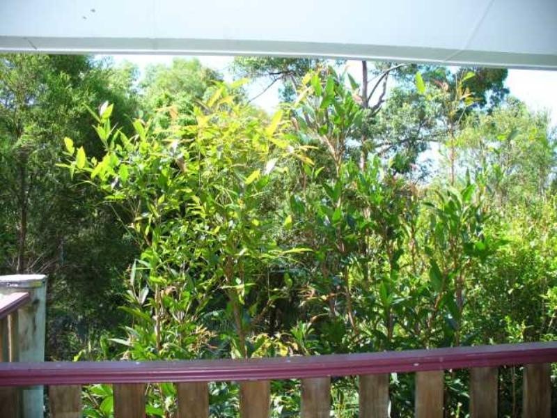 11 Panorama Ridge Road (Off Brae), Buderim QLD 4556