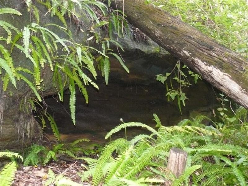 168 Mons School Road, Buderim QLD 4556