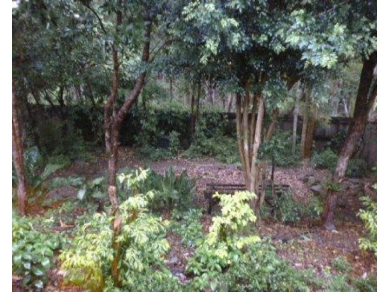 23 Earlybird Drive, Buderim QLD 4556