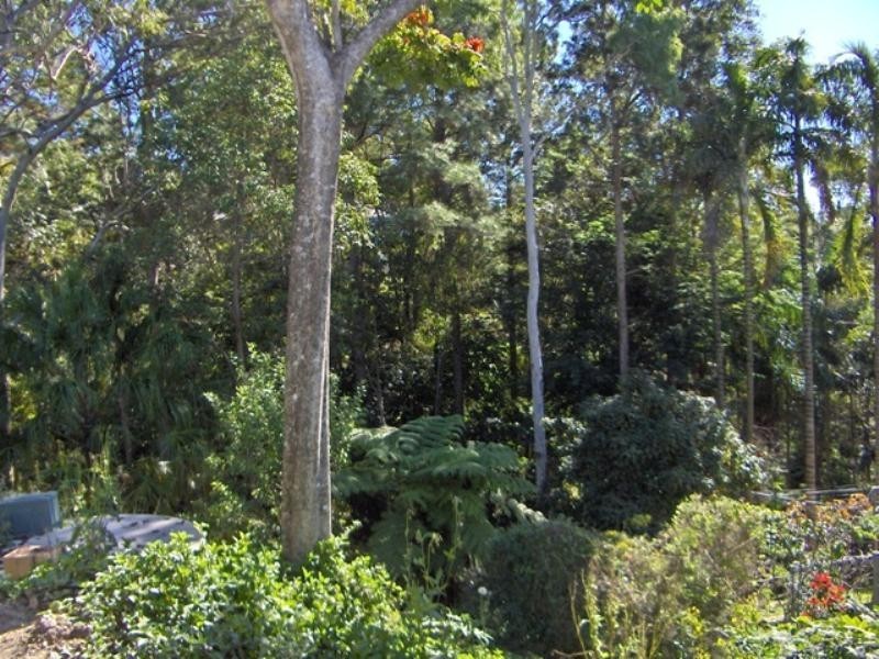 82 Atkinson Road, Bli Bli QLD 4560