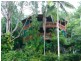 17 Parle Crescent, Buderim QLD 4556