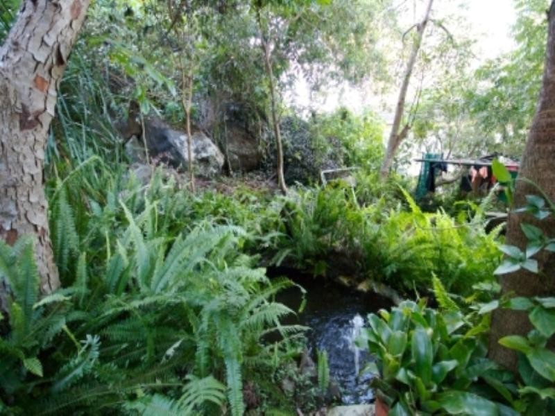 17 Parle Crescent, Buderim QLD 4556