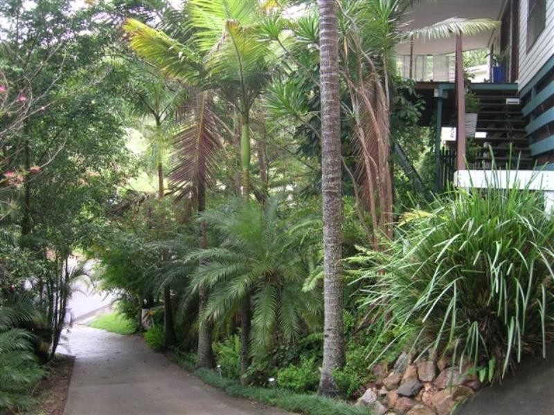 17 Turnipwood Drive, Buderim QLD 4556