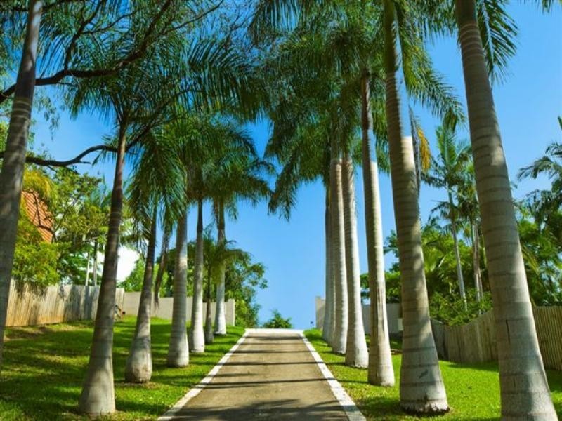 14 Martins Creek Road, Buderim QLD 4556