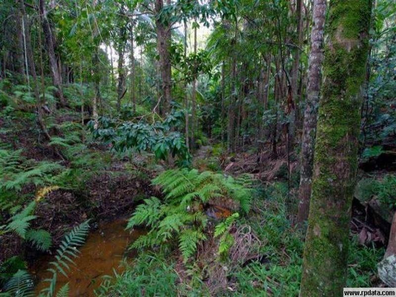 20 Edwin Road, Buderim QLD 4556