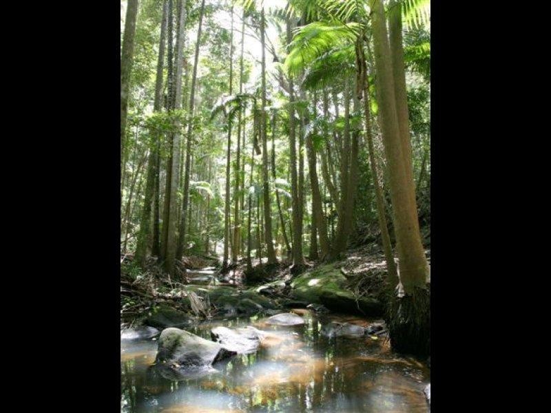36 Edwin Road, Buderim QLD 4556