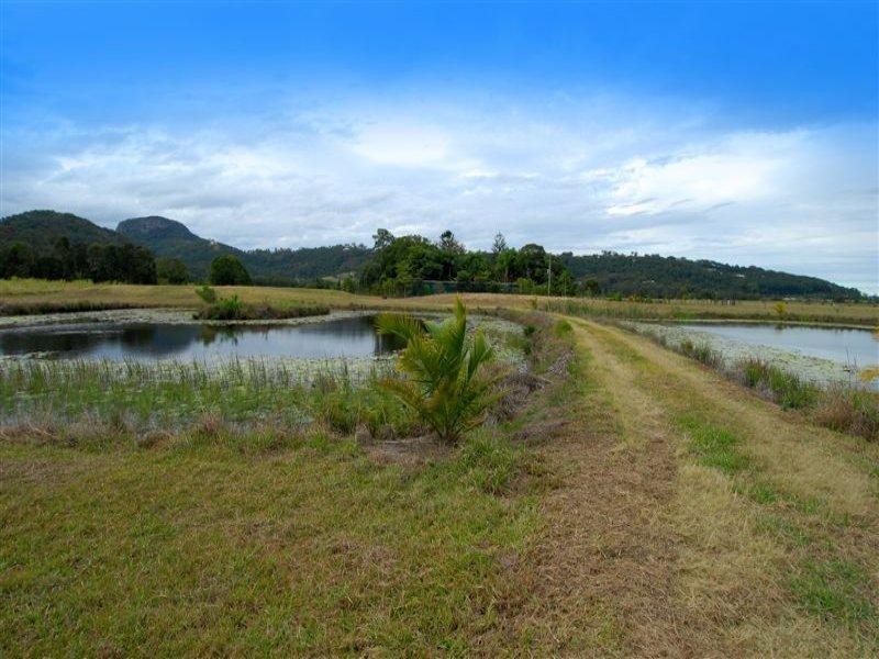 405 Yandina Bli-Bli Road, Maroochy River QLD 4561