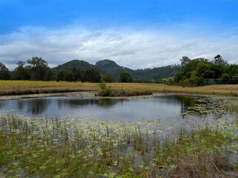 405 Yandina Bli-Bli Road, Maroochy River QLD 4561