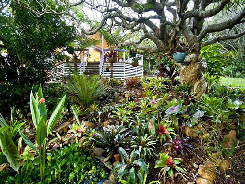 16 Chevallum Road, Palmwoods QLD 4555