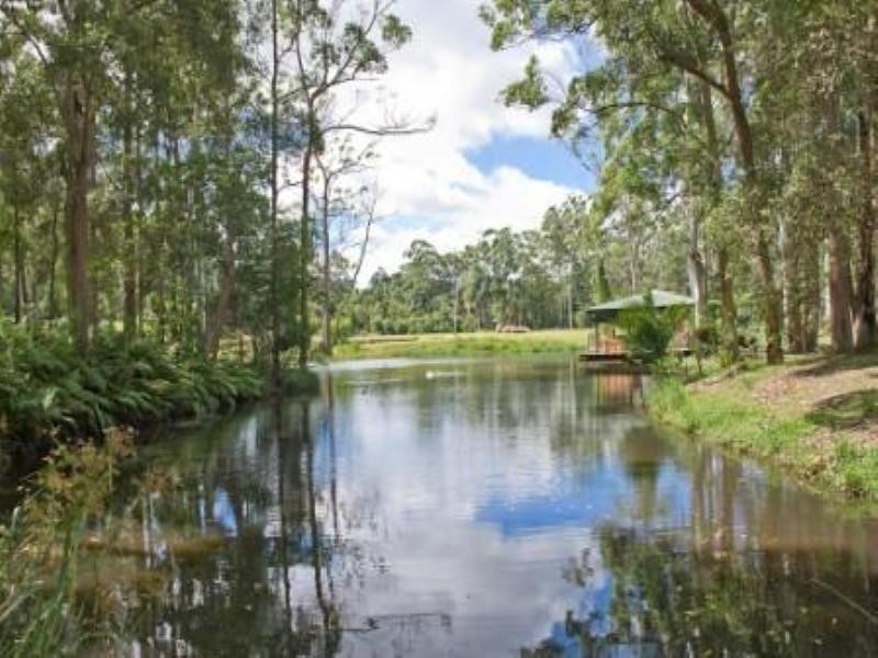 240 Tanawha Tourist Drive, Buderim QLD 4556