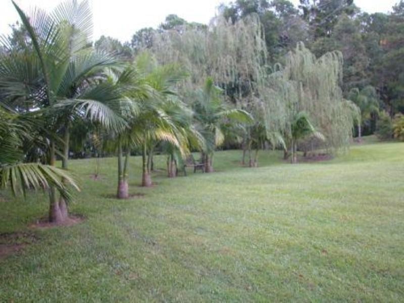 49 Bray Road, Mooloolah Valley QLD 4553