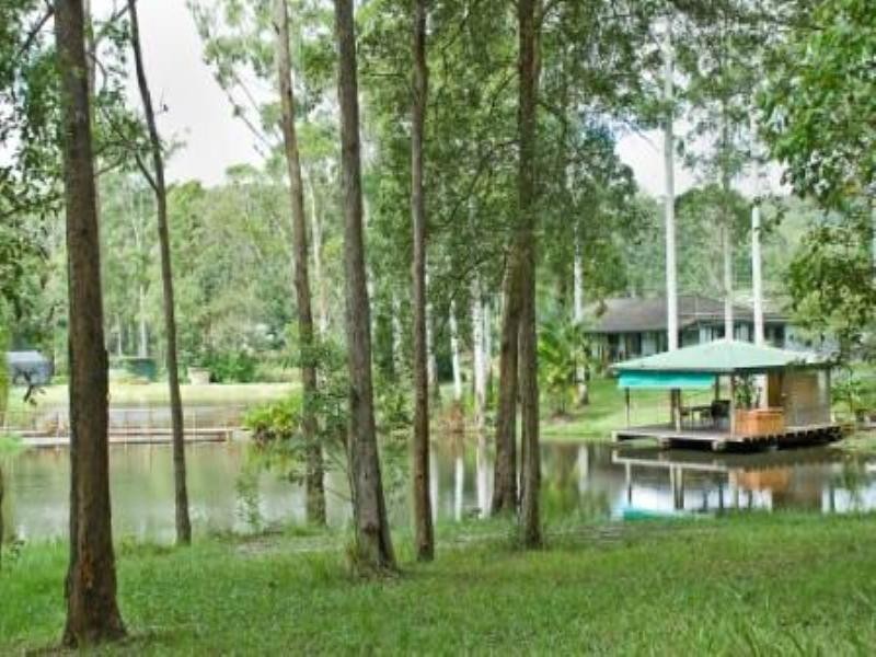 240 Tanawha Tourist Drive, Buderim QLD 4556