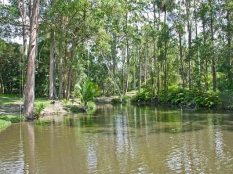 240 Tanawha Tourist Drive, Buderim QLD 4556