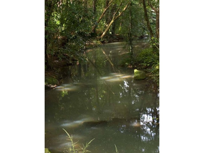 7 Pine Street, Buderim QLD 4556