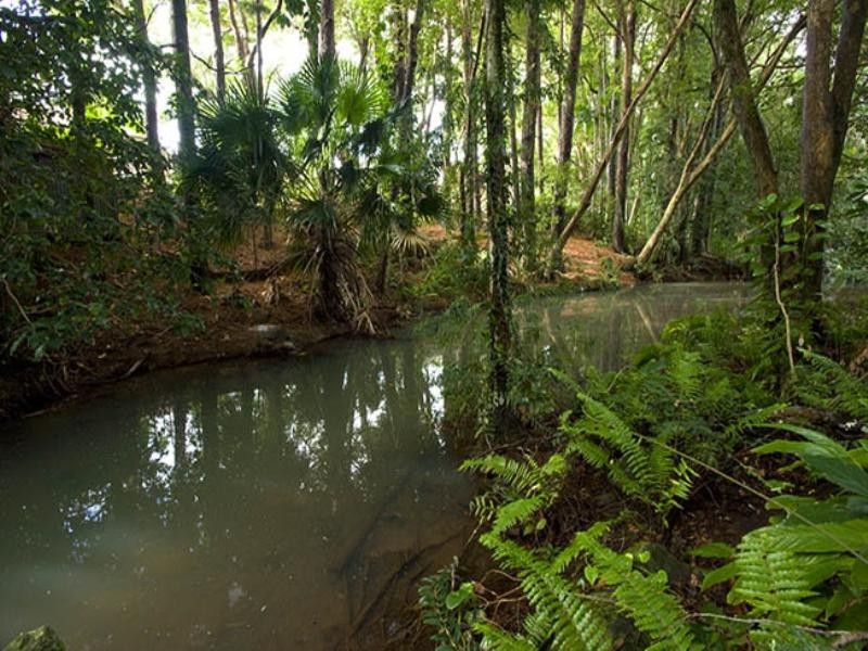 7 Pine Street, Buderim QLD 4556