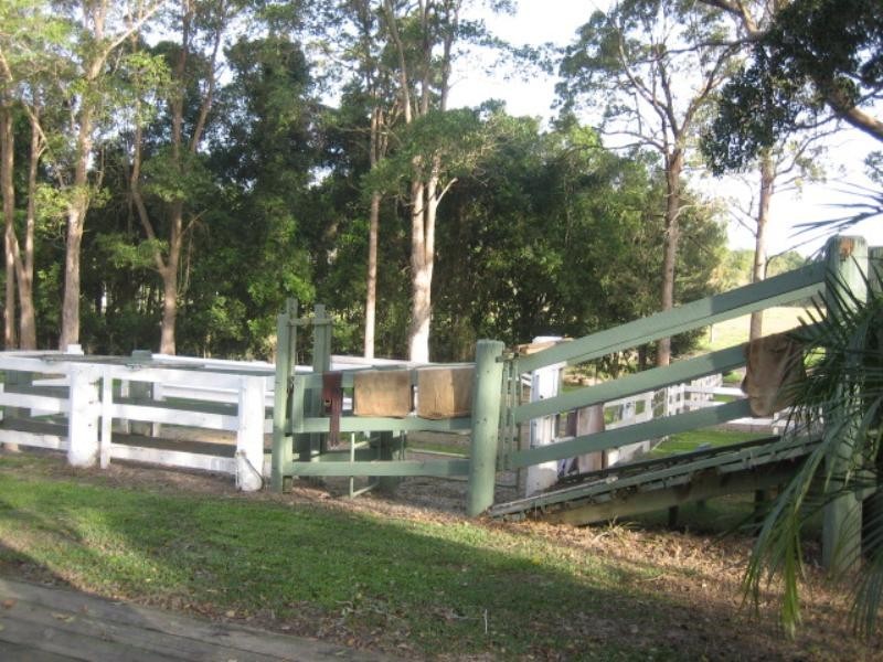 110 Laxton Road, Palmview QLD 4553