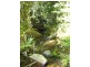 1 Babbling Brook Place, Eumundi QLD 4562