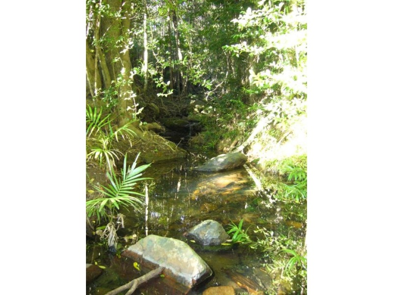 1 Babbling Brook Place, Eumundi QLD 4562