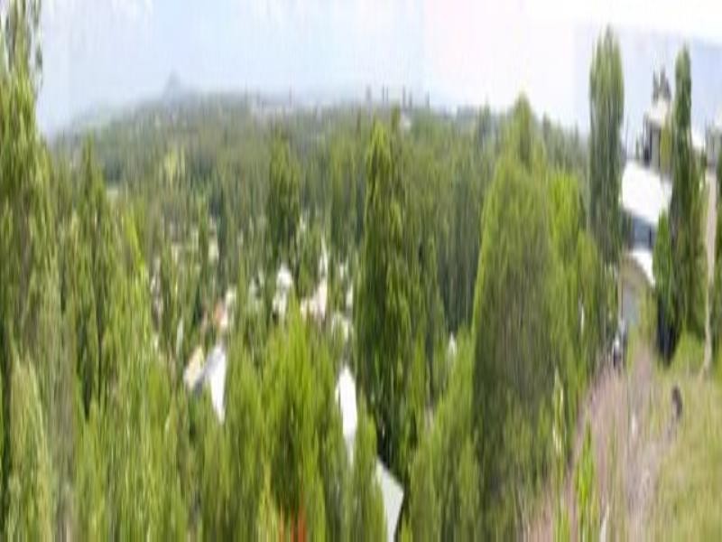 17 Hickory Court, Buderim QLD 4556