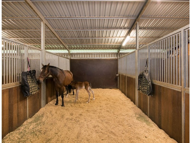 236 Mountain View Road, Maleny QLD 4552