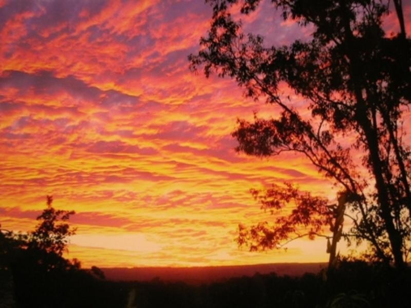 37 Danielle Place, Buderim QLD 4556