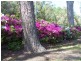 Landsborough QLD 4550