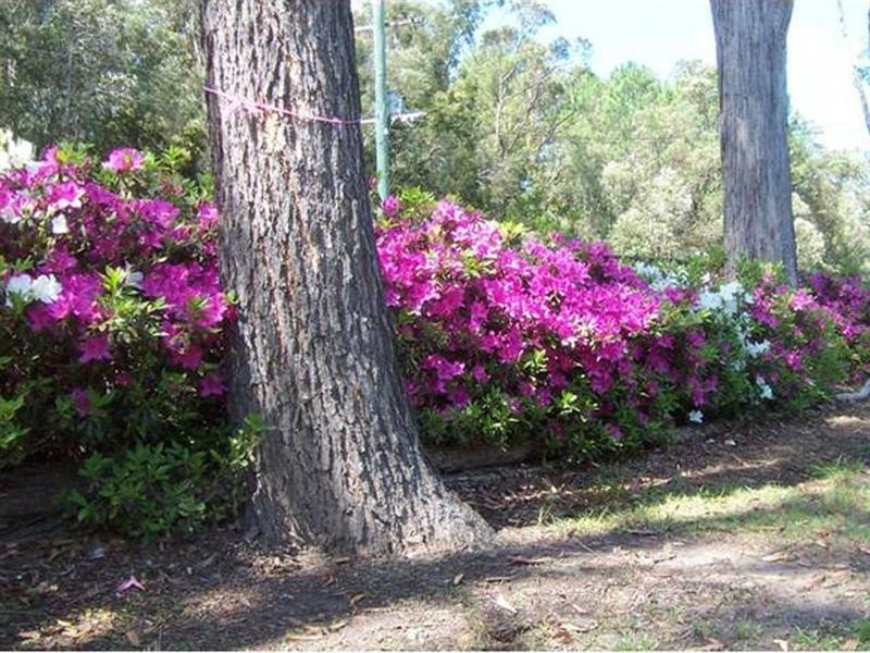 Landsborough QLD 4550