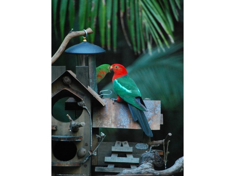 63 Sawreys Road, Buderim QLD 4556