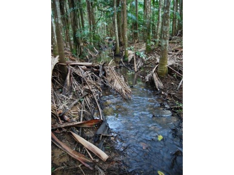 63 Sawreys Road, Buderim QLD 4556