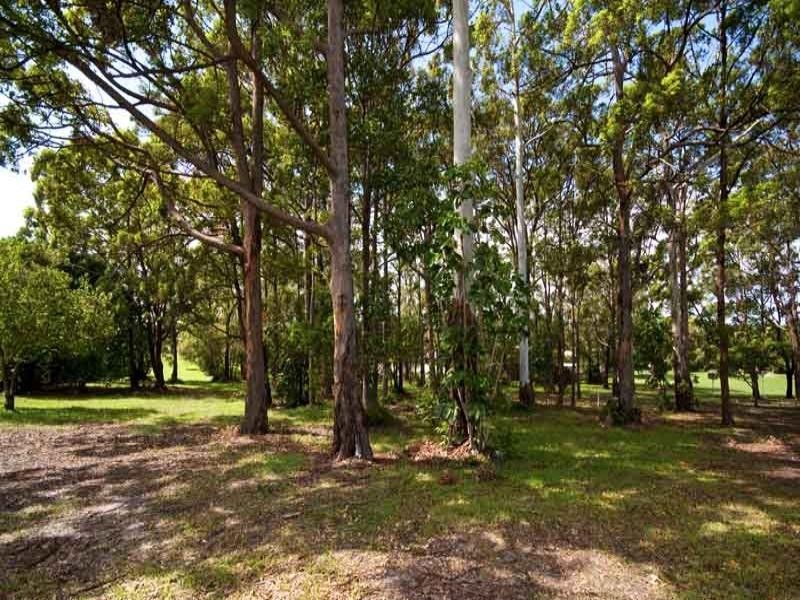 83 Millwell Road, Maroochydore QLD 4558