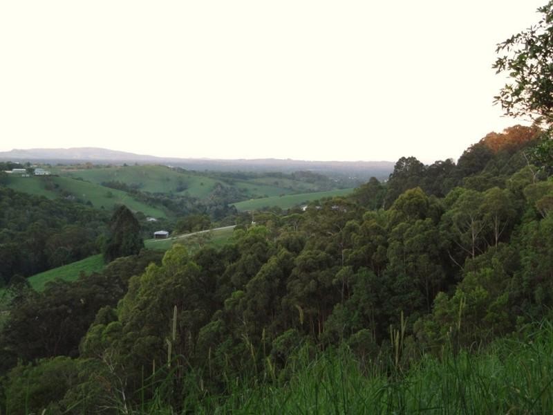 207 Musa Vale Road, Cooroy QLD 4563