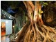 20 Sylvan Street, Buderim QLD 4556