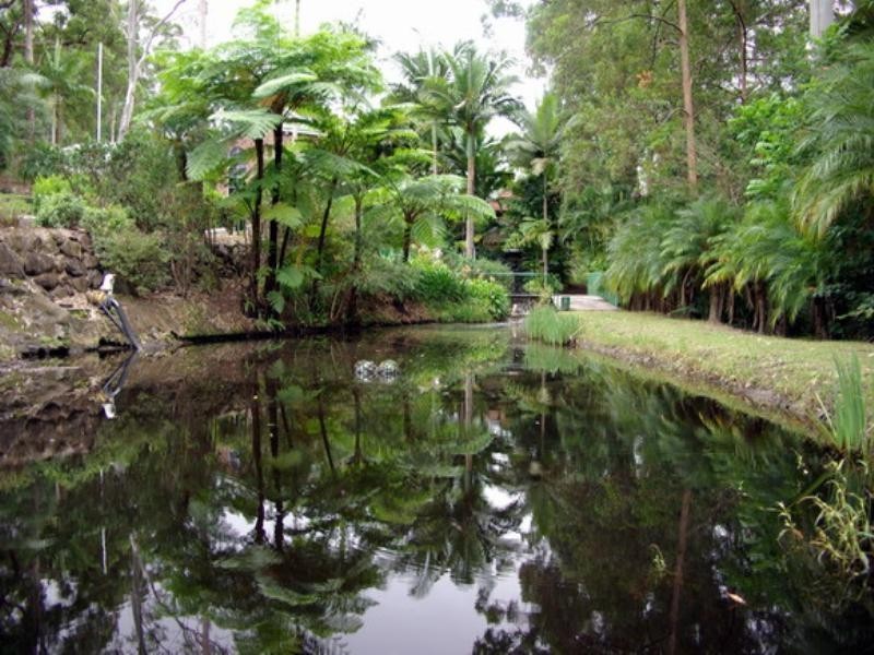 7 Barleycorn Avenue, Buderim QLD 4556