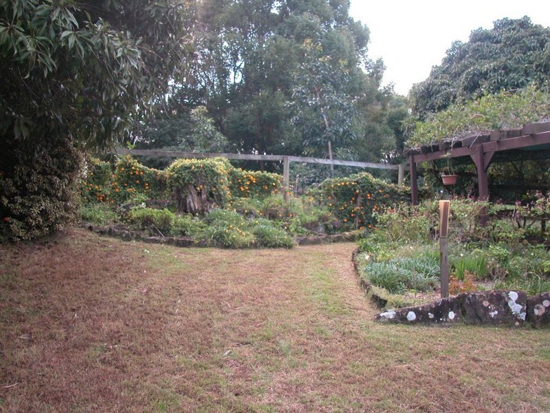 15 Sage Street, Buderim QLD 4556