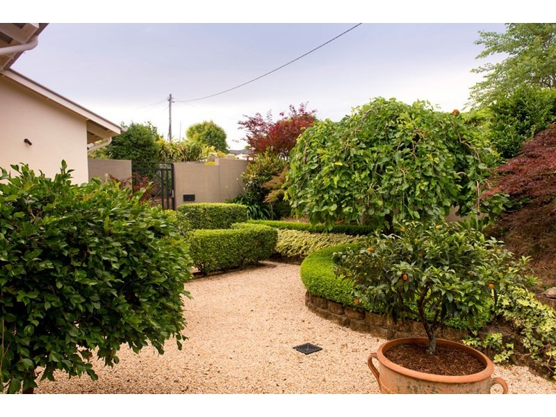 48 Ferguson Avenue, Buderim QLD 4556