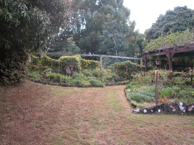 15 Sage Street, Buderim QLD 4556