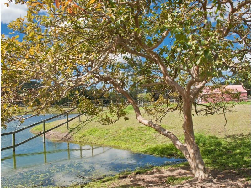 193 Highlands Road, Eudlo QLD 4554