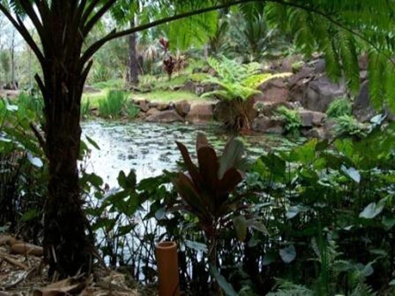 21 Box Street, Buderim QLD 4556