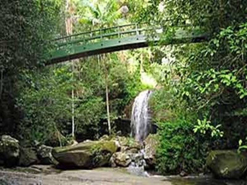20 Kent Court, Buderim QLD 4556