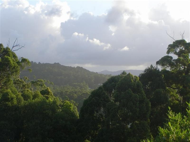 31 Dungannon Court, Buderim QLD 4556