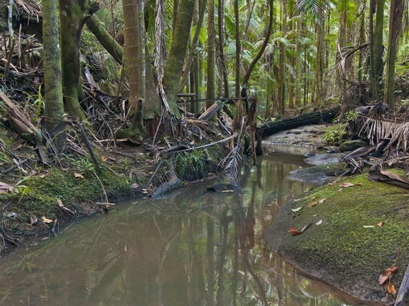 14-16 Twin Ridges Road, Mons QLD 4556