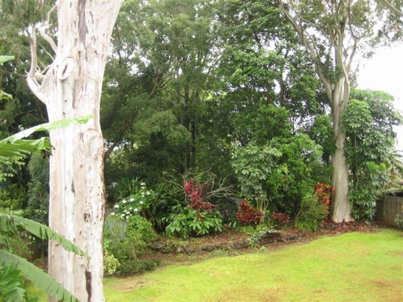 7 Guy Avenue, Buderim QLD 4556