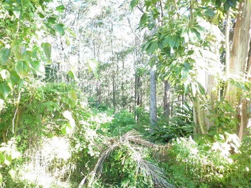 77 (Flat) Jones Road, Buderim QLD 4556