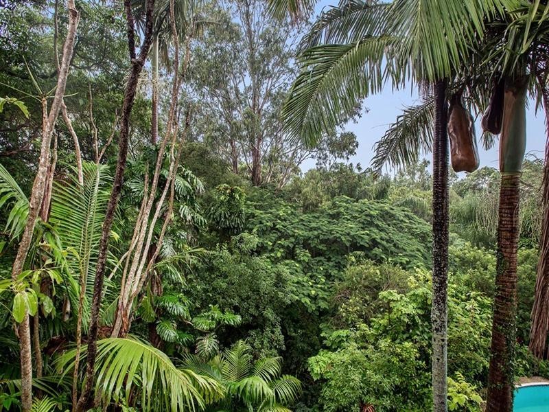 31 Ballinger Road, Buderim QLD 4556