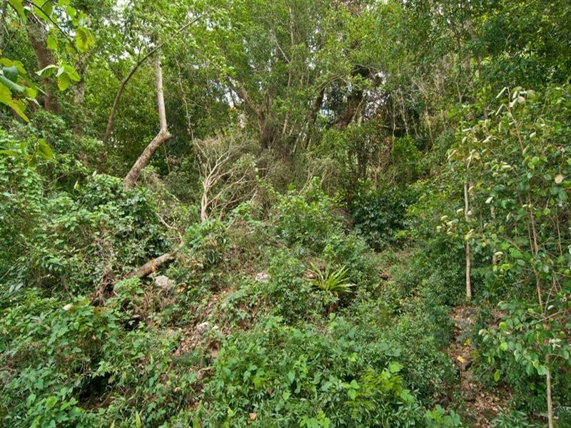 34B Nyes Crescent, Buderim QLD 4556