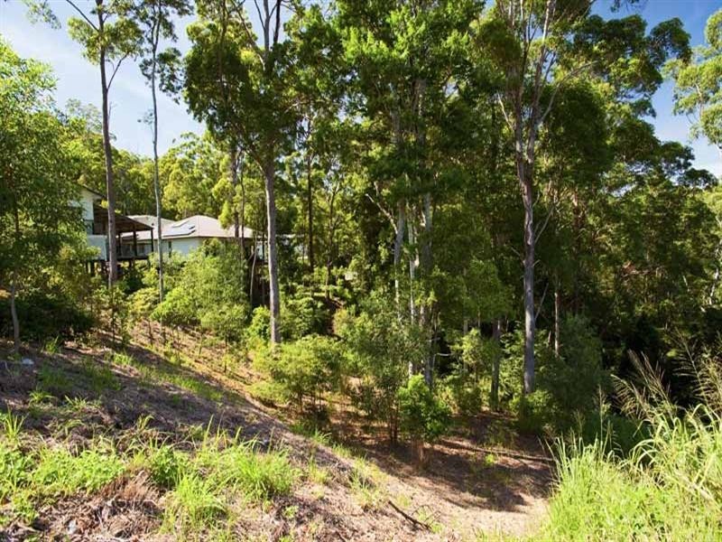 19 Cicada Close, Buderim QLD 4556