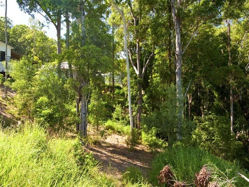19 Cicada Close, Buderim QLD 4556