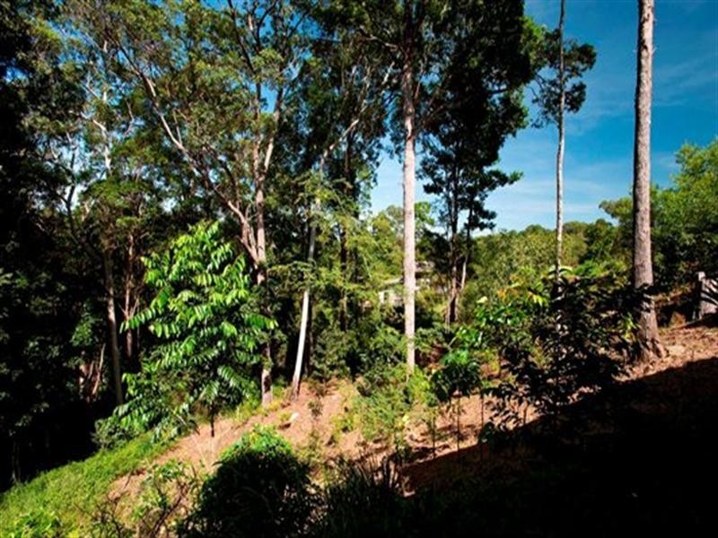 19 Cicada Close, Buderim QLD 4556