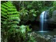 19 Cicada Close, Buderim QLD 4556